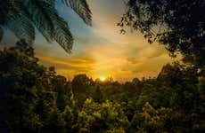 Senderismo por el Parque Nacional Corcovado
