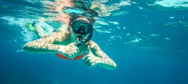 Snorkel en la Isla del Caño