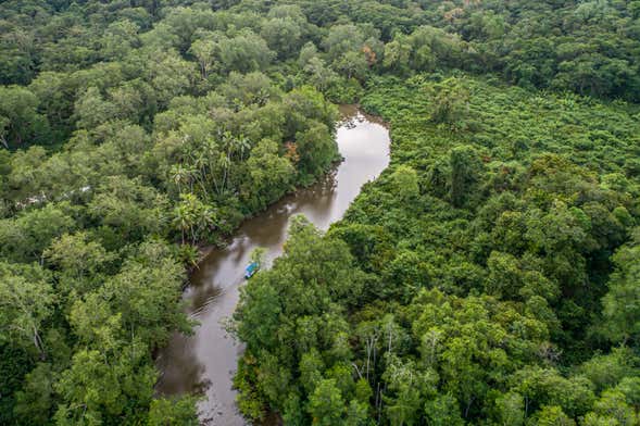 Tour en kayak por los manglares del río Sierpe