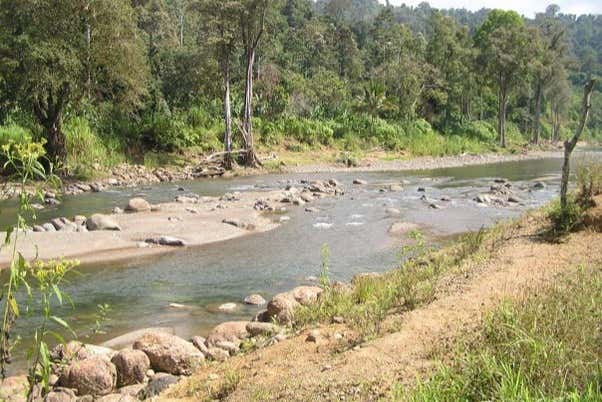 Cauce del río Yorkín