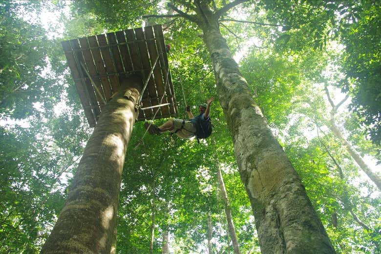 Faites de la descente en rappel depuis la cime des arbres