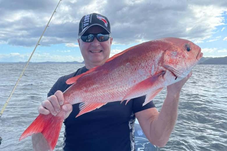 Um dos peixes que você poderá pescar