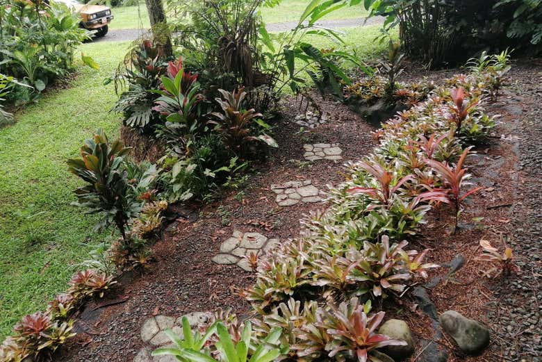 Exploring the Caribbean Botanical Garden in Guácimo