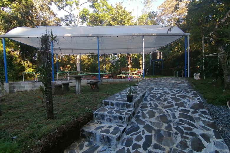 Touring the botanical garden