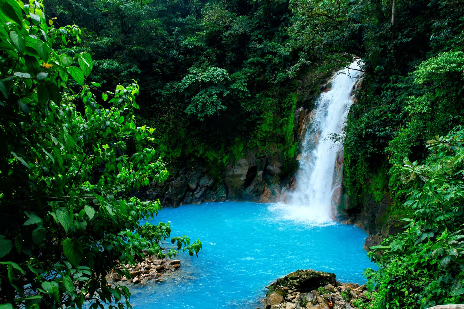 Excursión al Parque Nacional del Volcán Tenorio