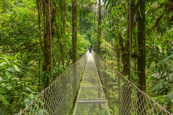 Sky Adventures Monteverde Park Day Trip