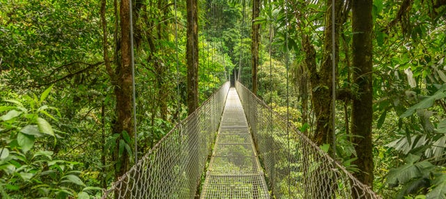 Excursión al Sky Adventures Monteverde Park