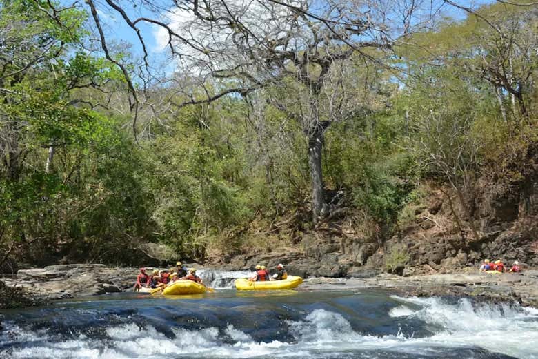 Traversée de la jungle du Costa Rica