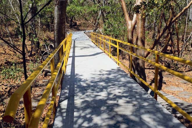 Percorrendo o Parque Nacional Santa Rosa