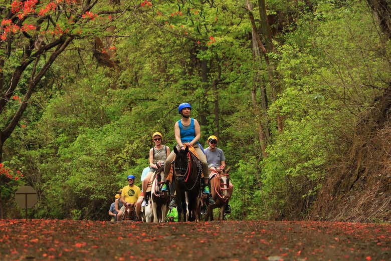 Percorrendo i sentieri del Diamante Eco Park