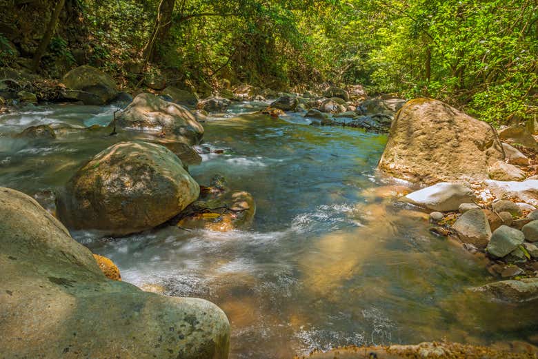 Rincón de la Vieja