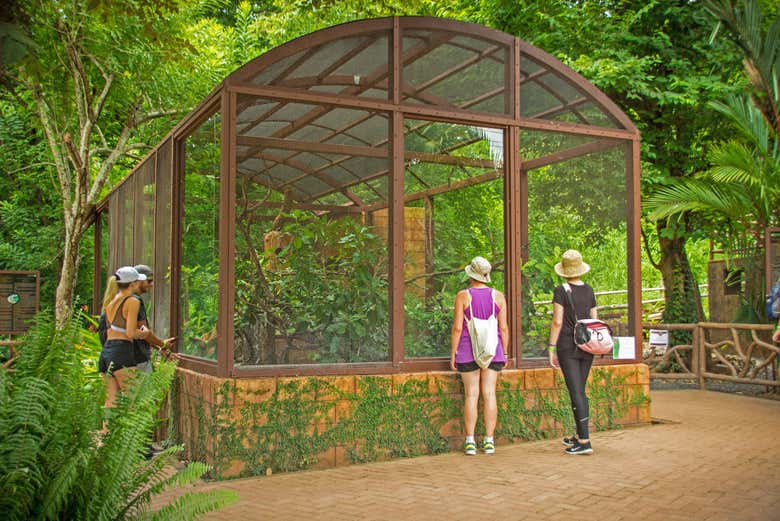 Visiting the animal sanctuary