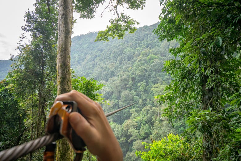 Ziplining through Costa Rica's rainforests