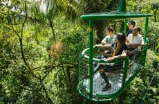 Rainforest Atlantic Adventure Park Ticket