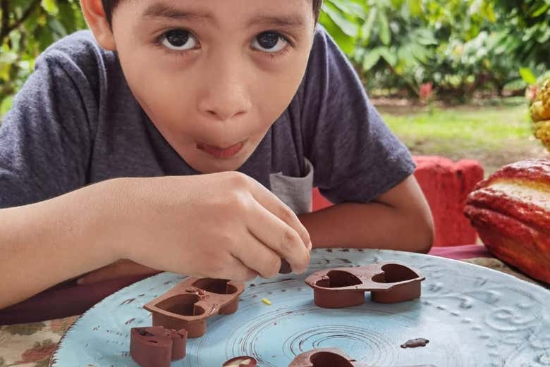 Degustação de chocolate