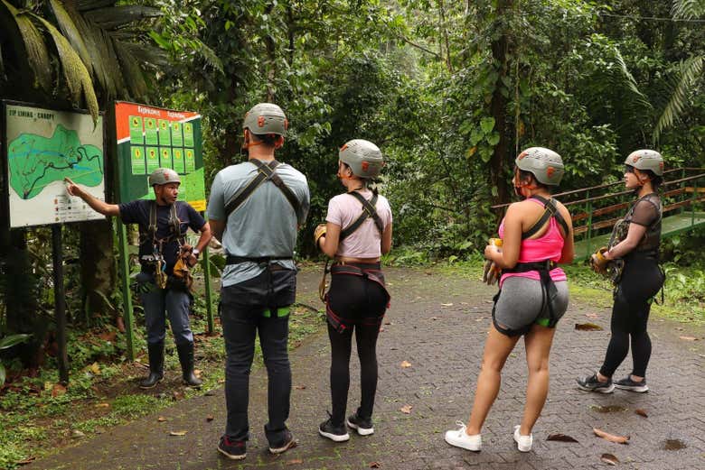 Alla scoperta del Rainforest Atlantic