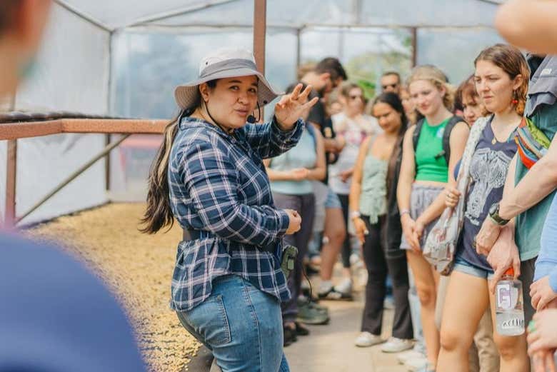 Conhecendo os diferentes tipos de torrefação