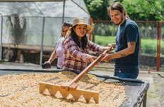 Tour del café en la finca Britt