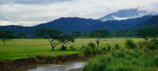 Excursão ao Parque Nacional de Carara