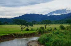 Excursión al Parque Nacional de Carara