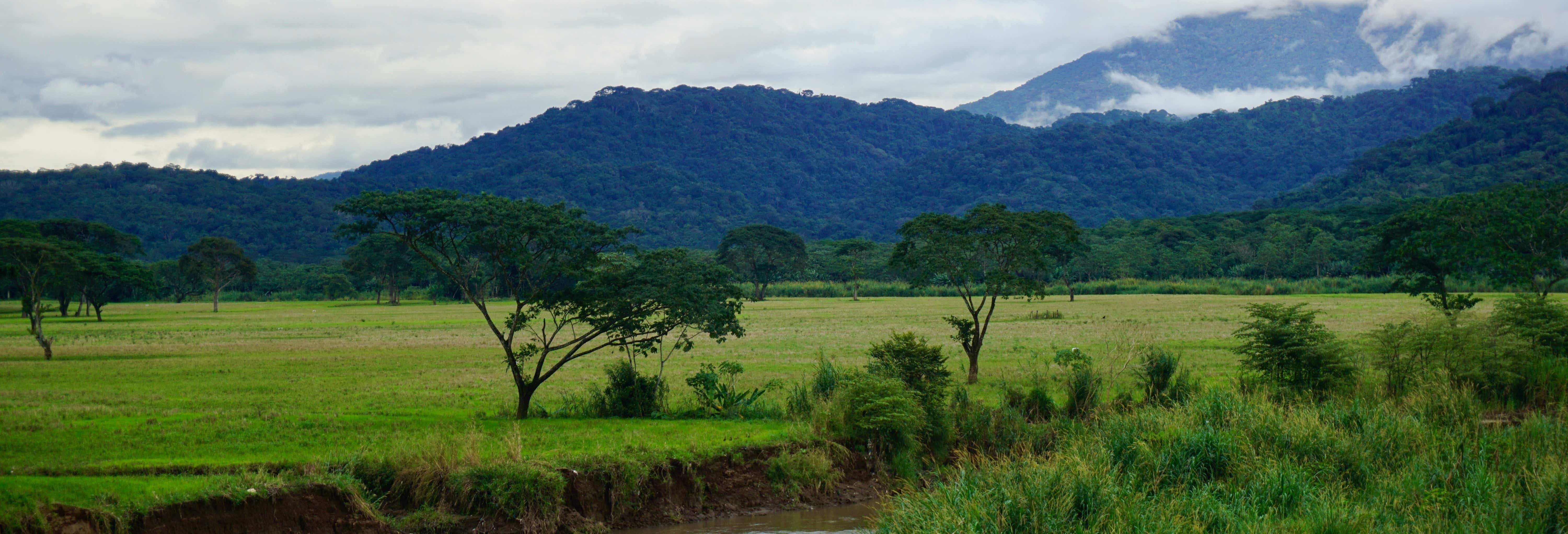 Excursiones de un día en Jacó
