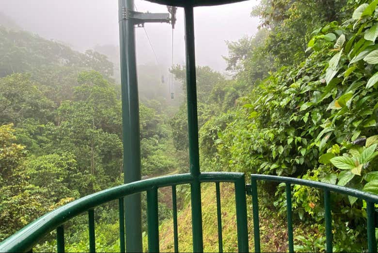 Disfrutando de la vista