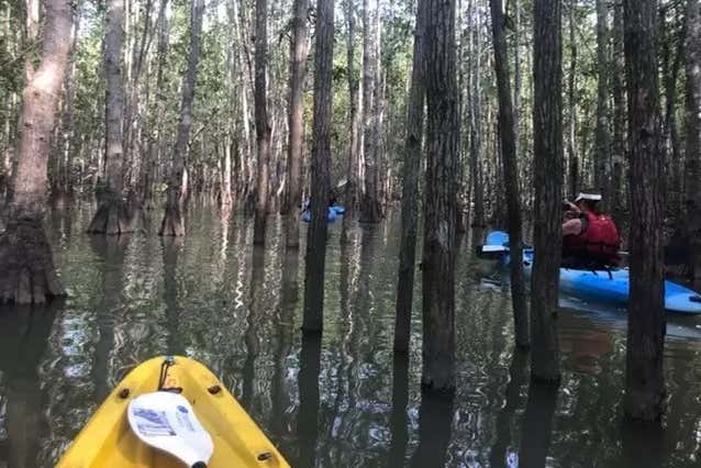 Navegando por la Isla Damas