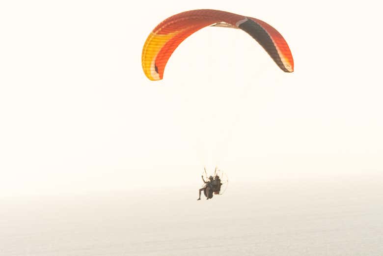 Diversão garantida!
