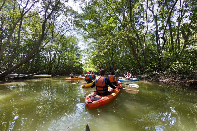 Tour en kayak por la Isla Damas