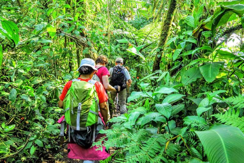 Surrounded by tropical vegetation