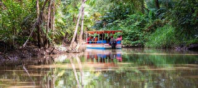 Paseo en barco por Isla Damas
