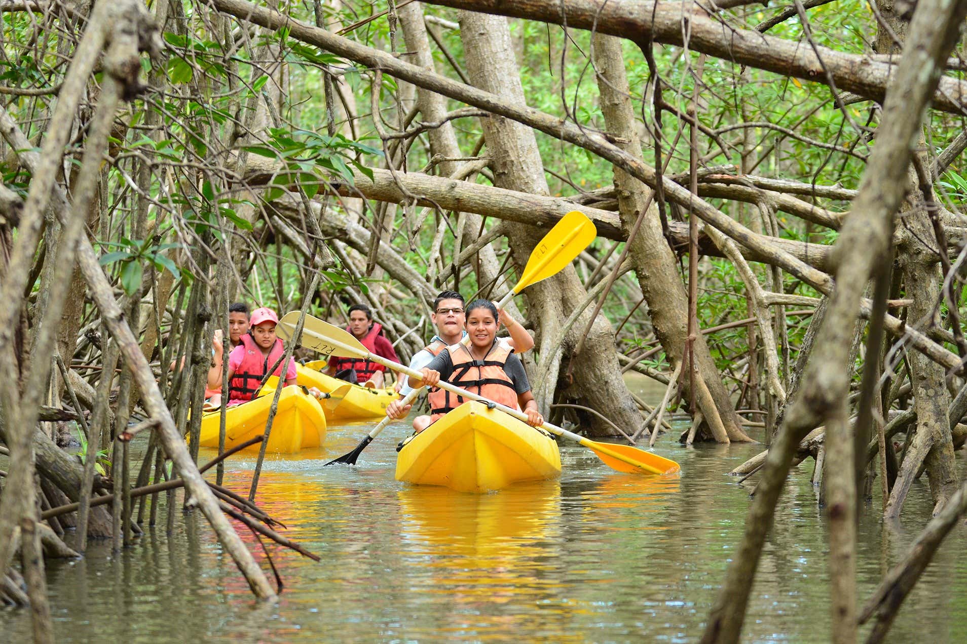 Tour di Isla Damas in kayak