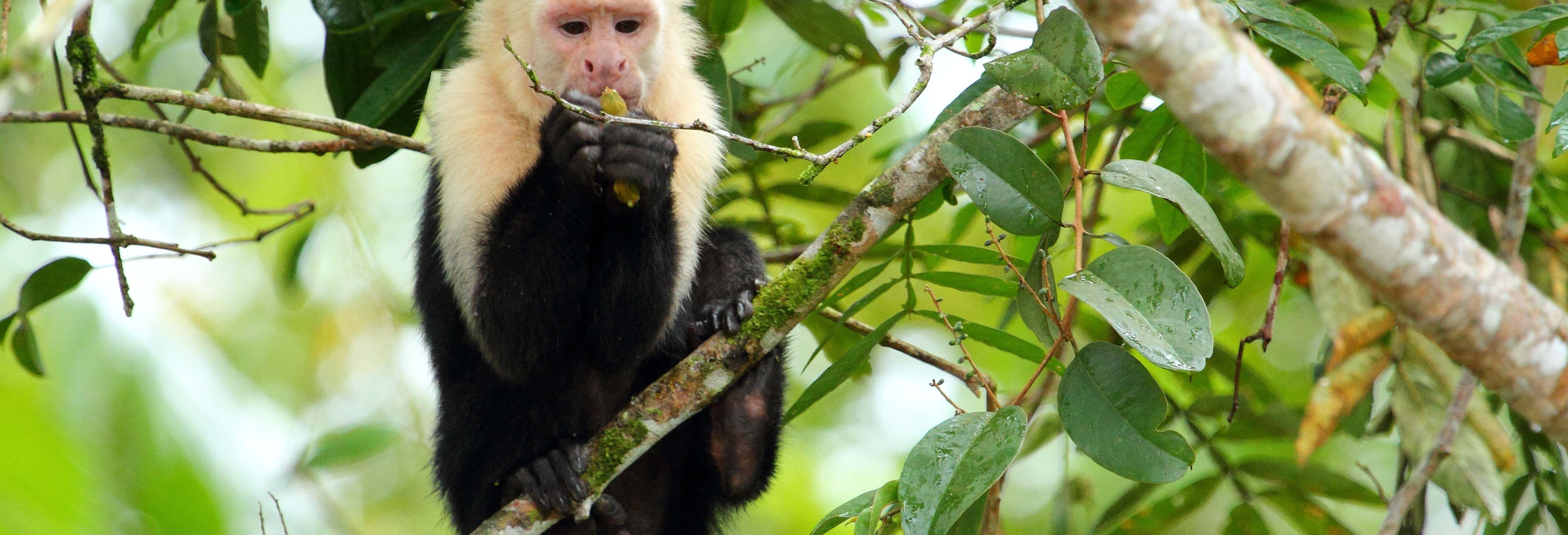 Excursiones de un día en La Fortuna