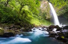 Excursión a la Catarata Río Fortuna