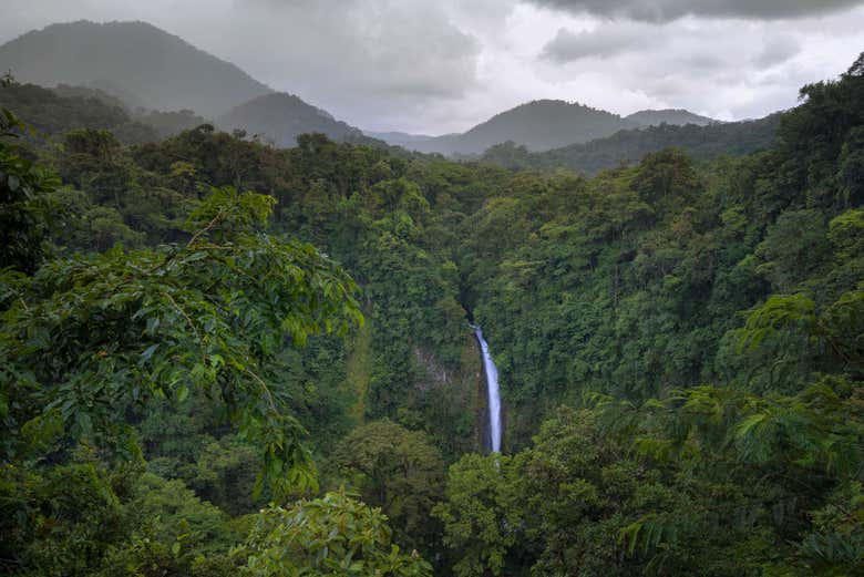 Vista de la catarata en la selva