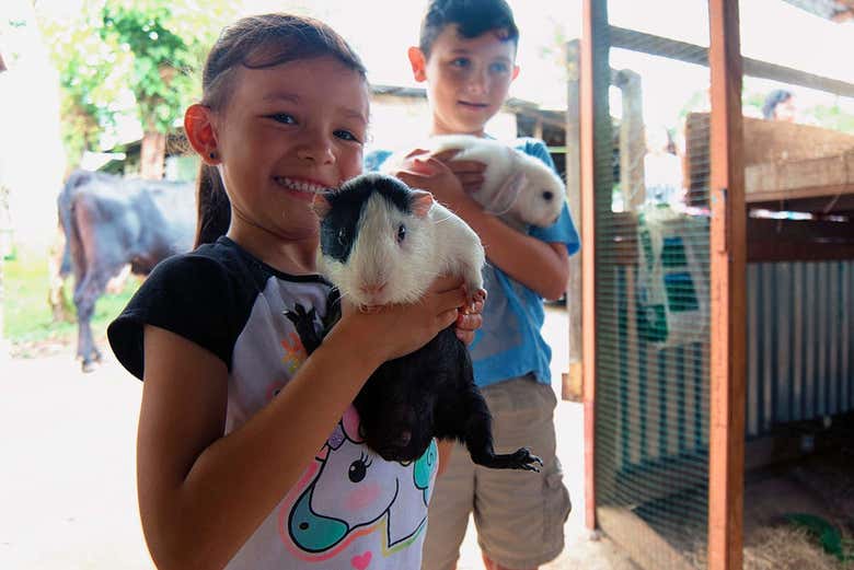 Animales en finca agroecológica