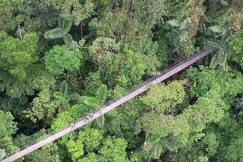 Ponte suspensa de Arenal