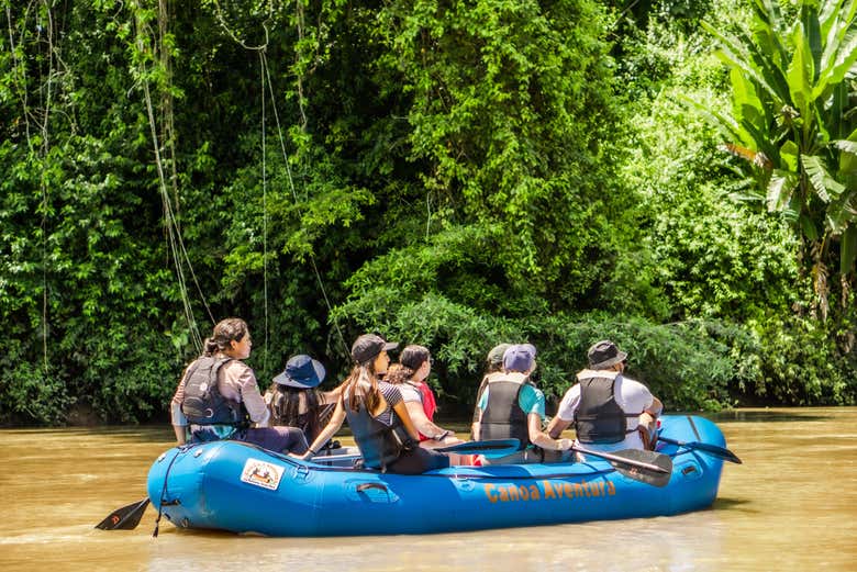 Contemplando la densa vegetación del río Peñas Blancas