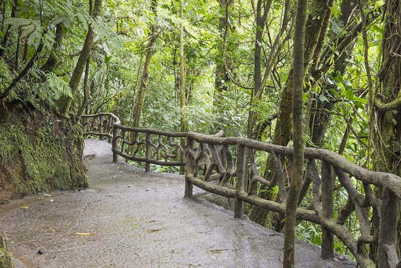 Sendero del Parque de los Puentes Colgantes