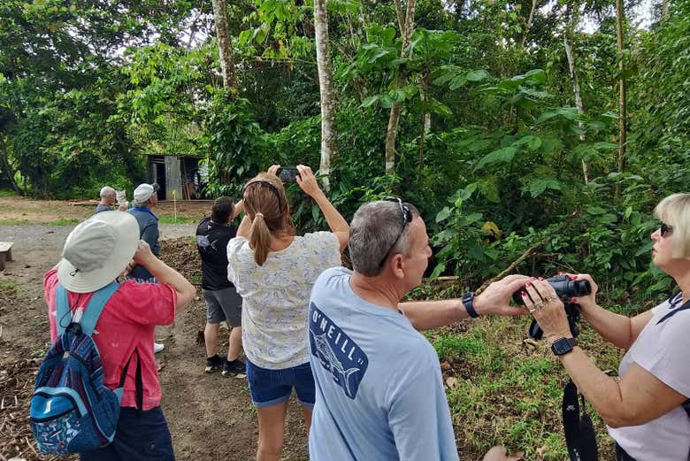 Disfrutando del avistamiento de aves