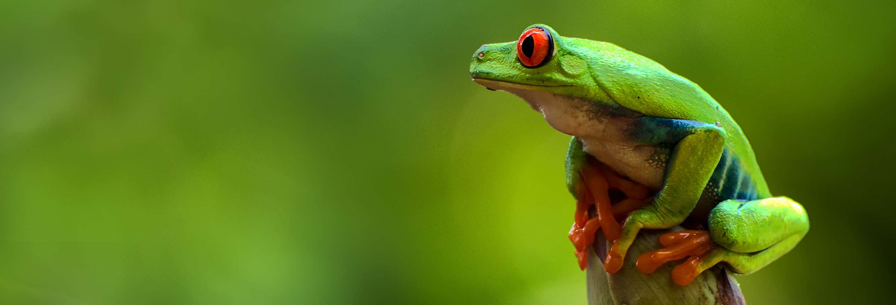 Senderismo / Trekking en La Fortuna
