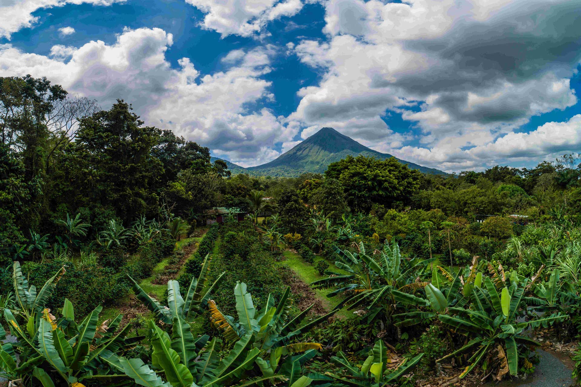 Costa Rican Coffee & Chocolate Tour