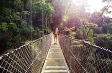 Tour por los puentes colgantes de Arenal