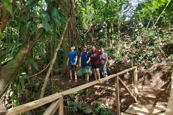 Visita à fazenda DreamTree XP