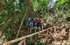 Visita a la finca DreamTree XP