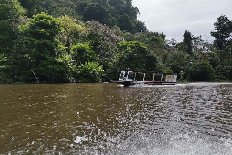 Enjoy this boat ride