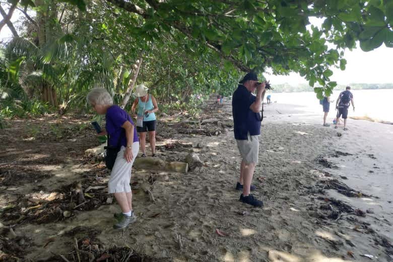 Exploration de la forêt côtière de Cahuita