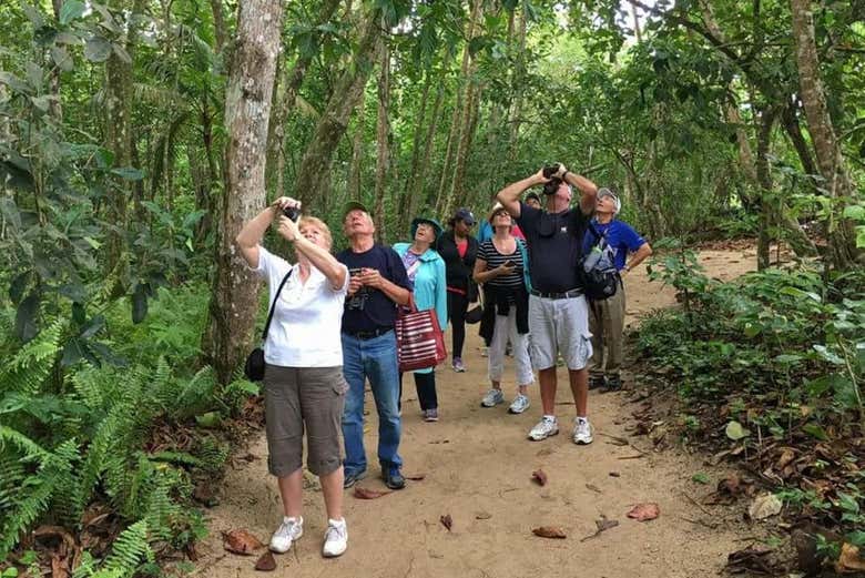 Prenez les meilleures photos pendant la balade