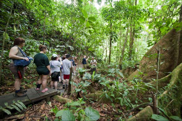 Visite du parc national de Cahuita pour croisiéristes