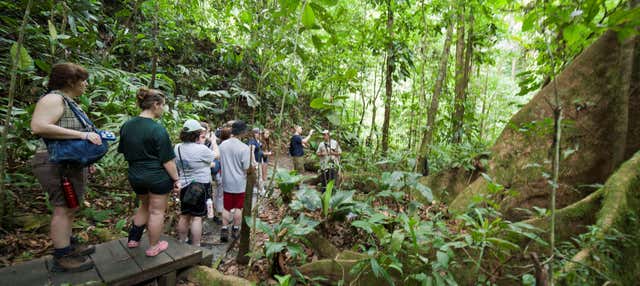 Tour por el Parque Nacional Cahuita para cruceros